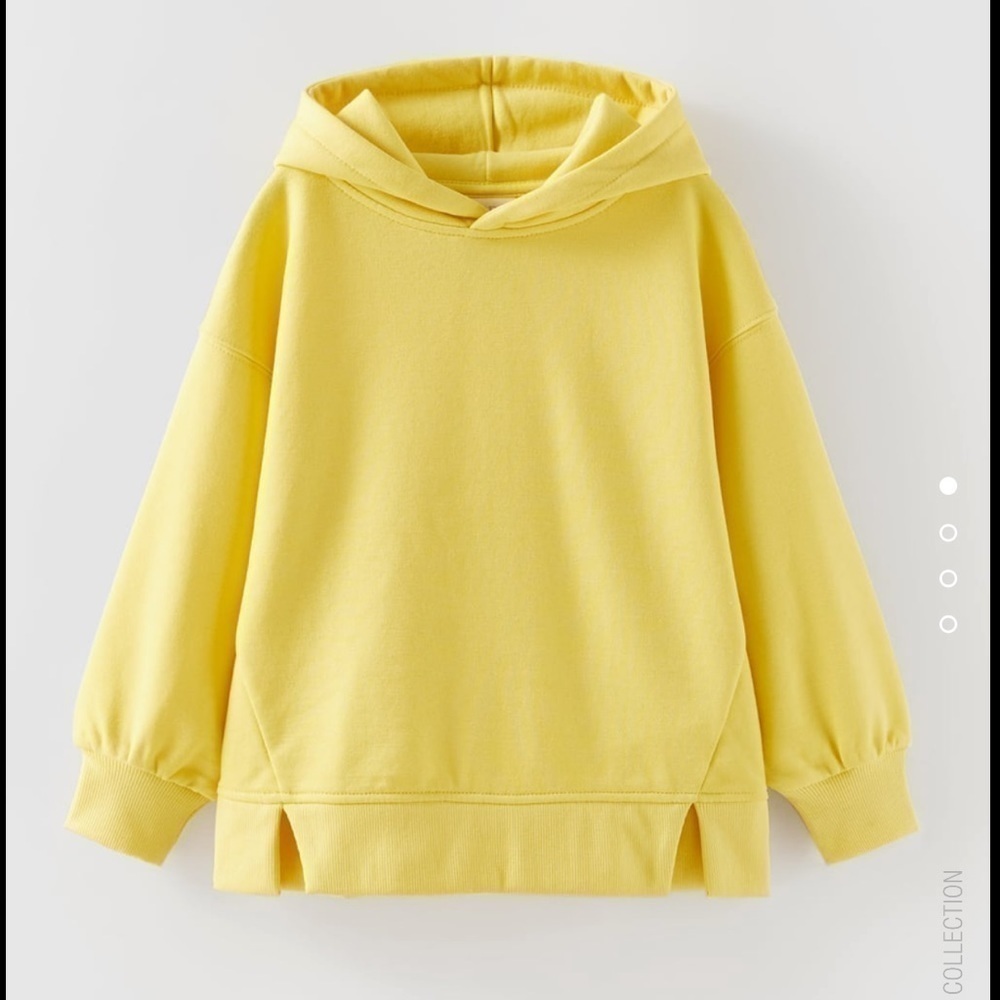 Zara Basic Hooded Sweatshirt